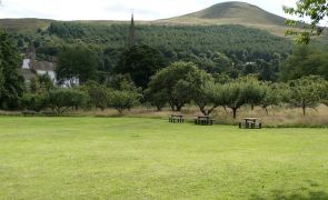 The hill
